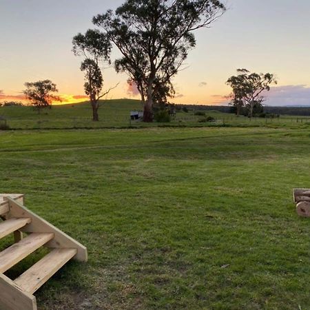 Bush Retreat 1 By Tiny Away Villa Alberton West Buitenkant foto