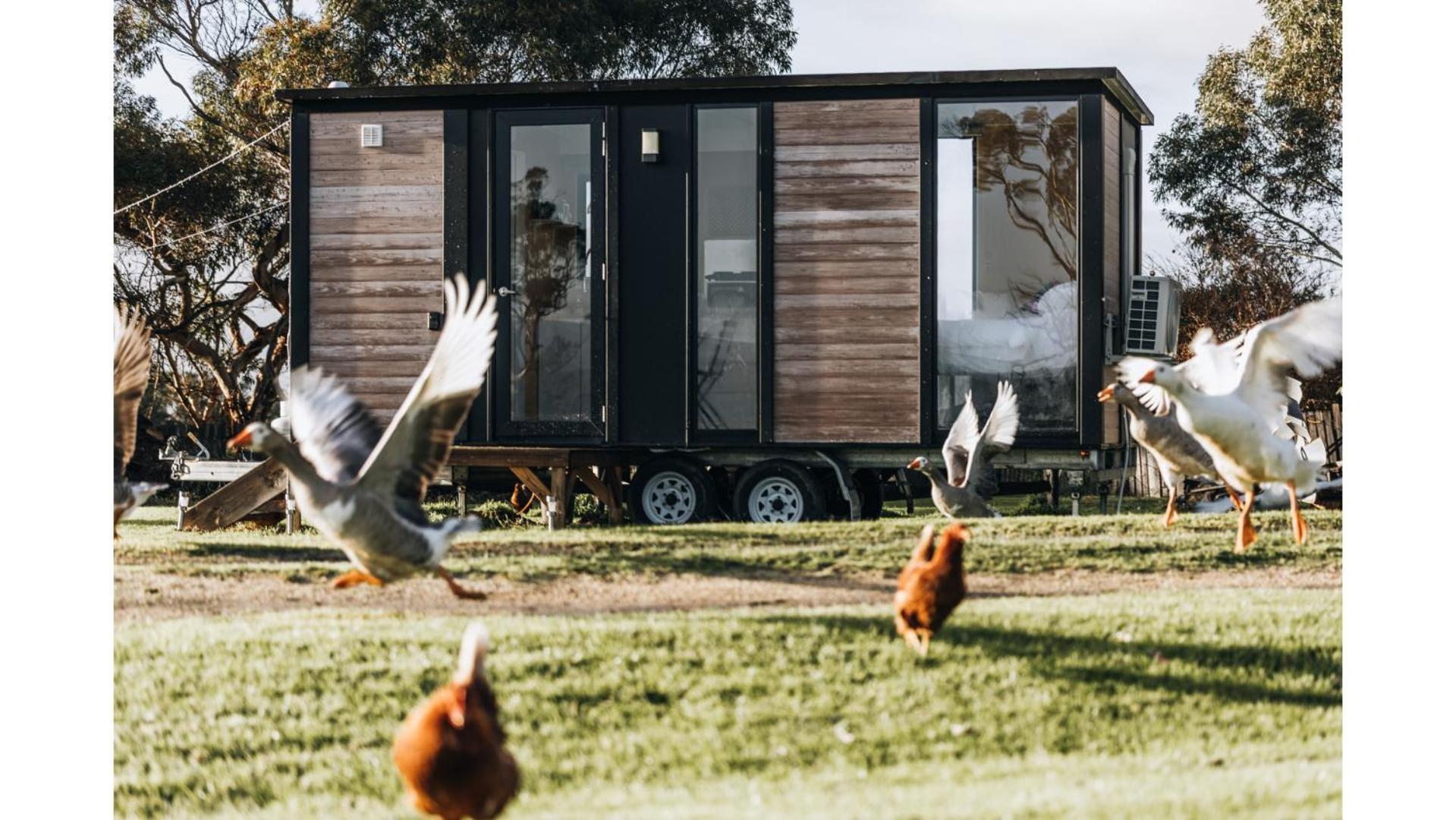 Bush Retreat 1 By Tiny Away Villa Alberton West Buitenkant foto